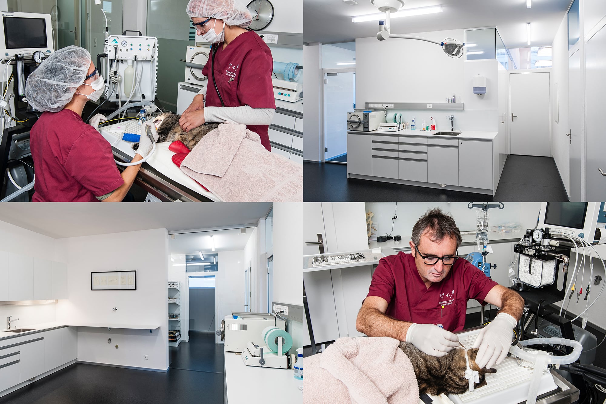 Tierarztpraxis Uetendorf